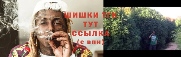 МДПВ Краснослободск