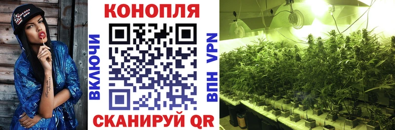Марихуана Amnesia  Черноголовка 